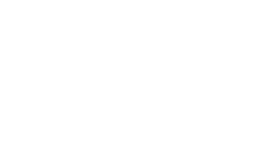 Emergence Advisory